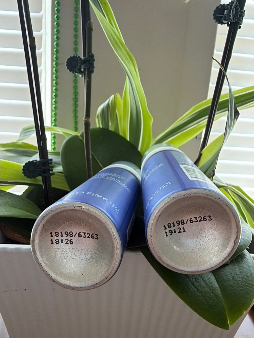 BUNDLE of 2 ,Sheer Hold Hairspray - Blue (50 mL)